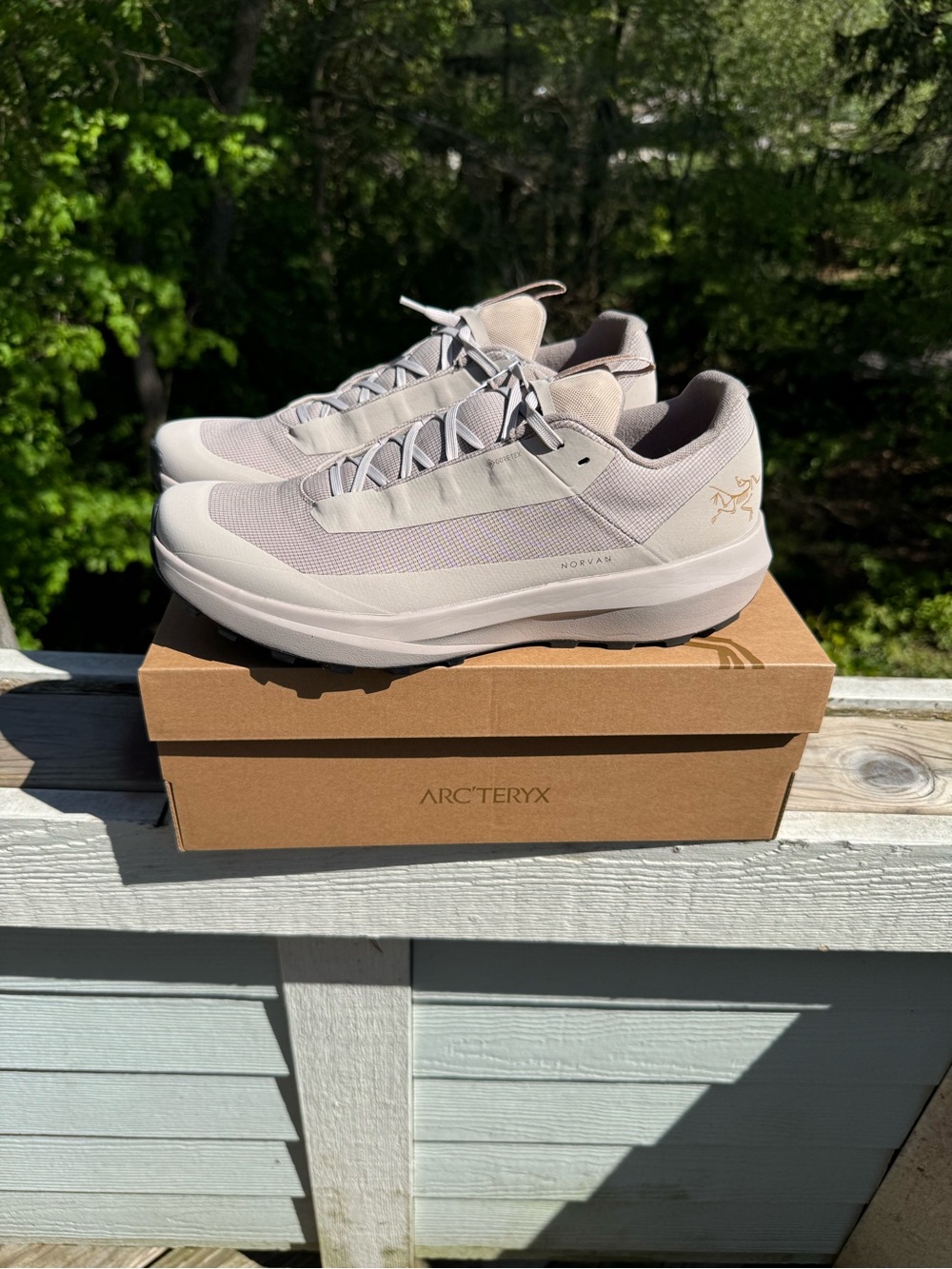 Arc'teryx Norvan LD GTX Men’s